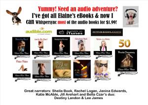 total whispersync new audio